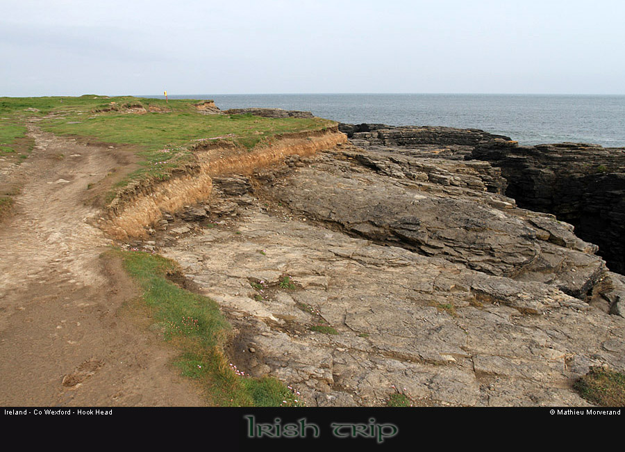 hookheadcoast12