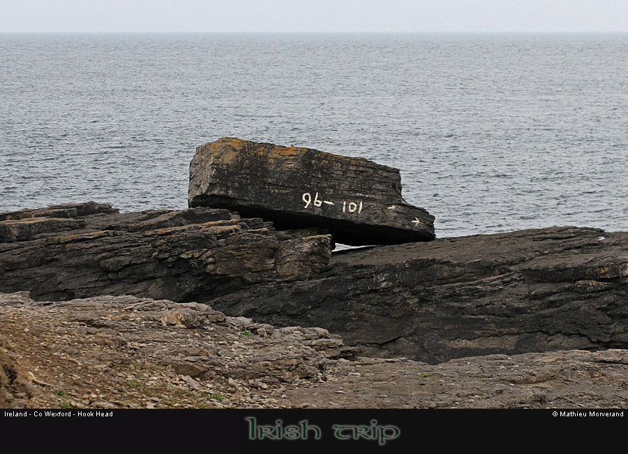 hookheadcoast16
