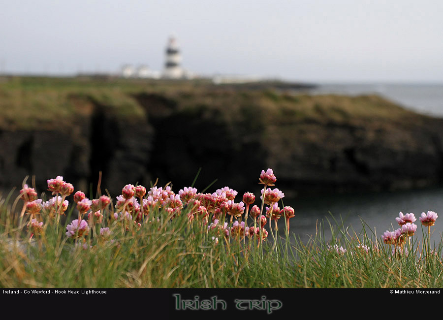 hookheadlighhouse02
