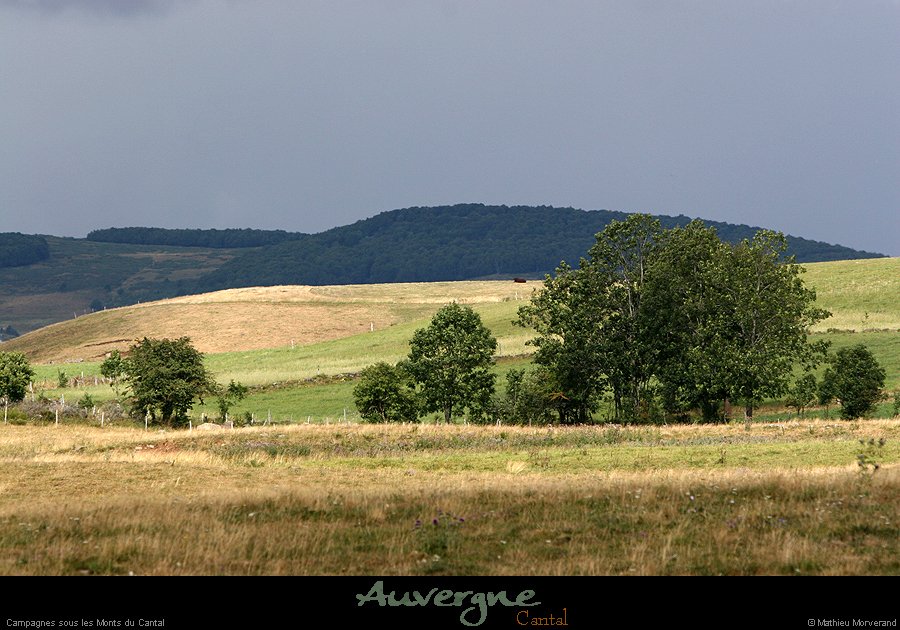 20050820_img_8744
