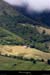 20050820_img_8727buron