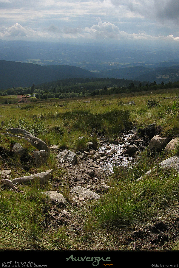 20070711_057
