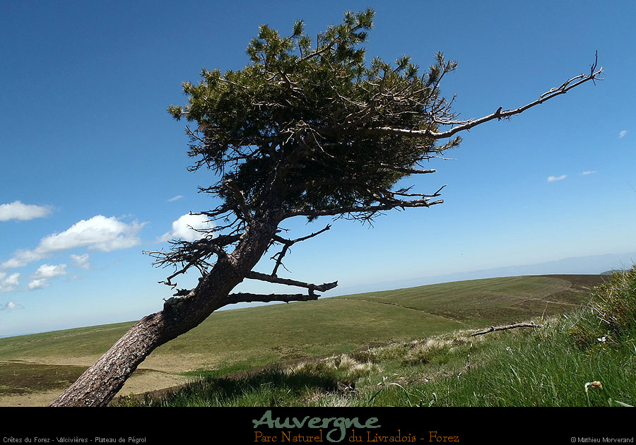20130613_creteforez_valcivieres_plateaupegrol2