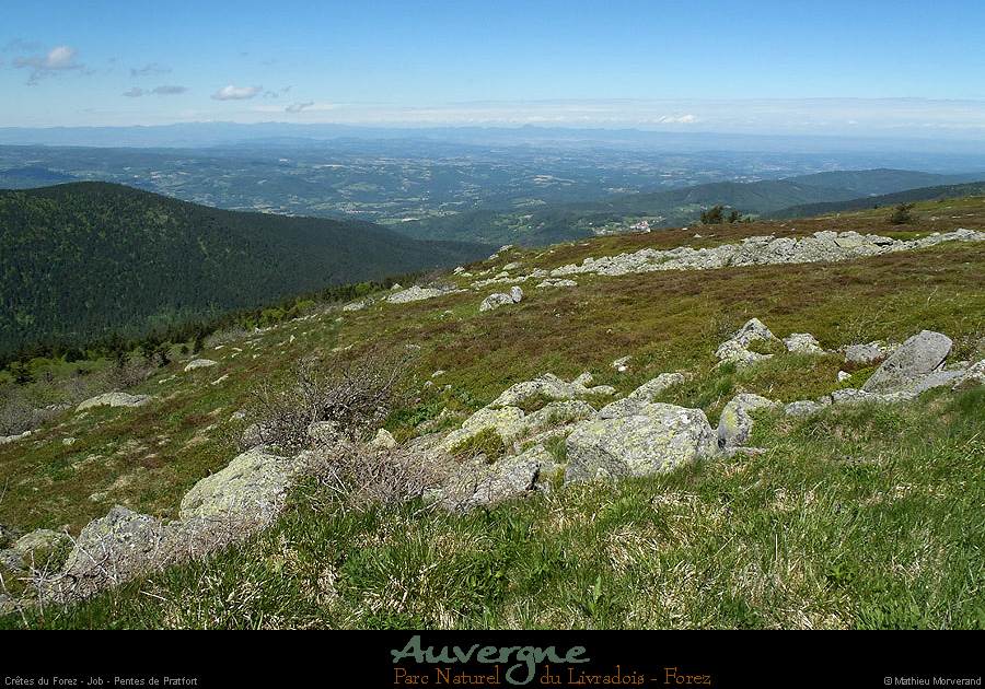 20130613_pierresurhaute_job_pentesdepratfort1