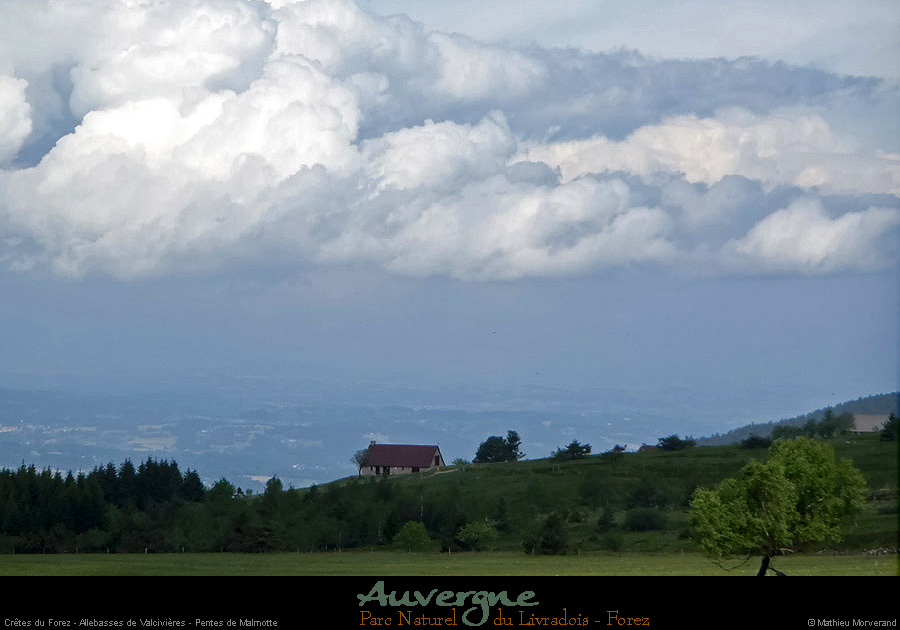 20130620_forez_allebassesdevalcivieres_pentesmalmotte