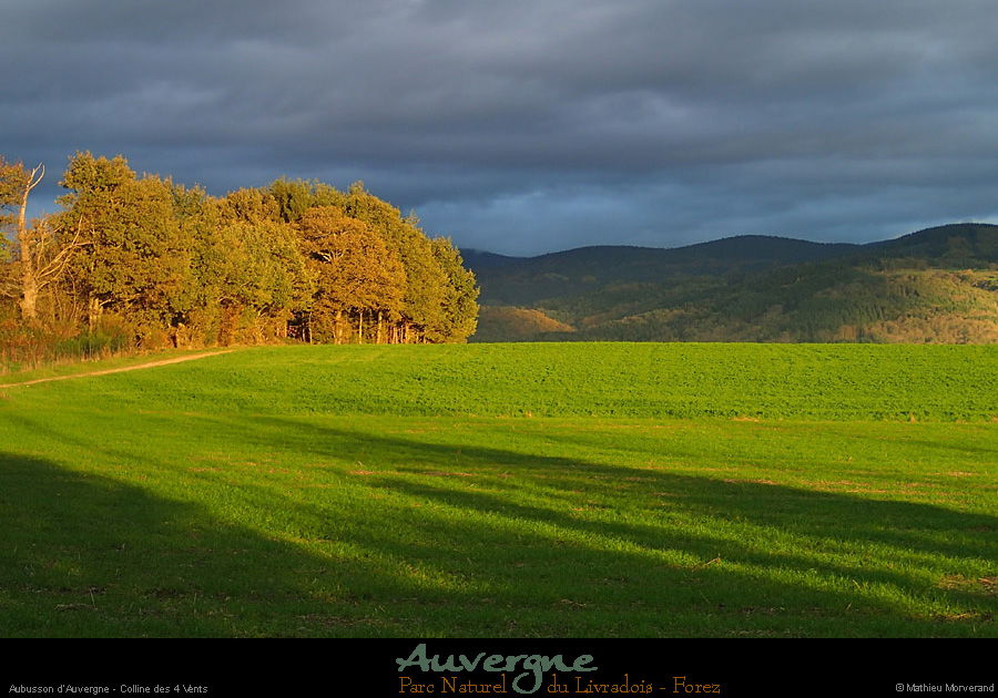 20131106_aubusson_4vents4