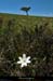 20130613_creteforez_valcivieres_plateaupegrol3