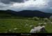 20130620_pierresurhaute_stpierrelaboulhonne_pentesdelachamboite2
