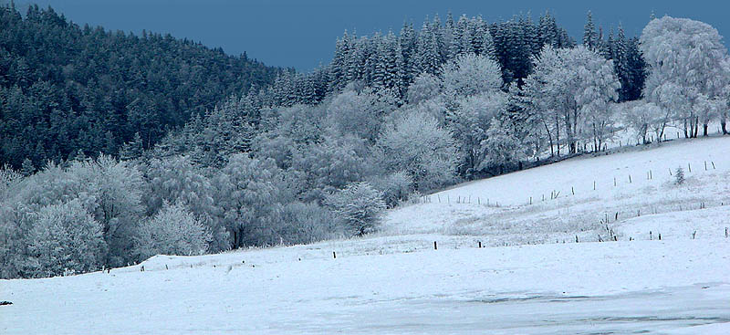 20030111 - Haute Loire - Bois de Pouzols