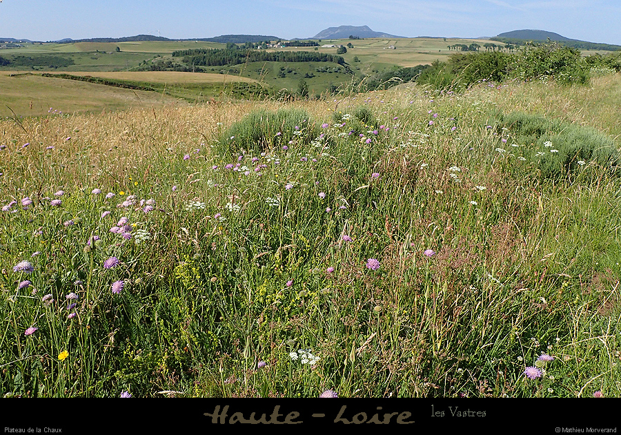 20170620_mezenc_deplateaulachaux2