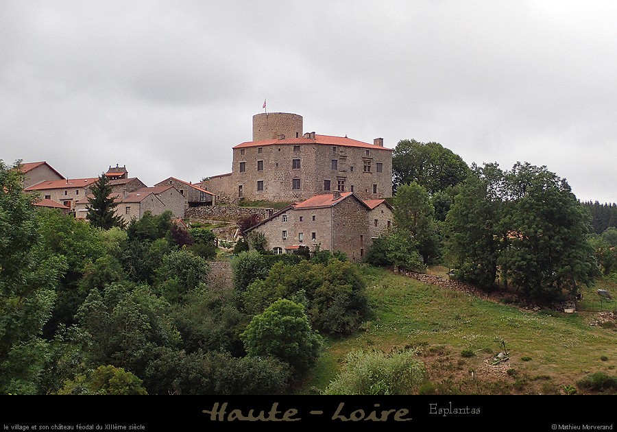 20190815_esplantasvazeilles2