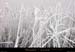 20011120_fixstgeneys_ajoncsgeles_3