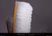 20011120_fixstgeneys_arbustesgeles_2