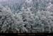 20011120_fixstgeneys_foret_09
