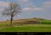 20020417_barges_plateaudecoulombs_1