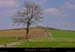 20020417_barges_plateaudecoulombs_2