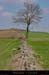 20020417_barges_plateaudecoulombs_3