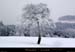 20030111_fixstgeneys_paysageenneige_03
