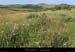 20170620_mezenc_deplateaulachaux2