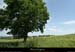 20130617_livradois_egliselesbillom_pentesbrossolieres