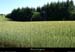 20130617_livradois_sermentizon_pentesbarthelay