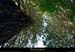 20130617_livradois_stjeandesollieres_sequoia2