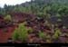 20150616_puydelavache1