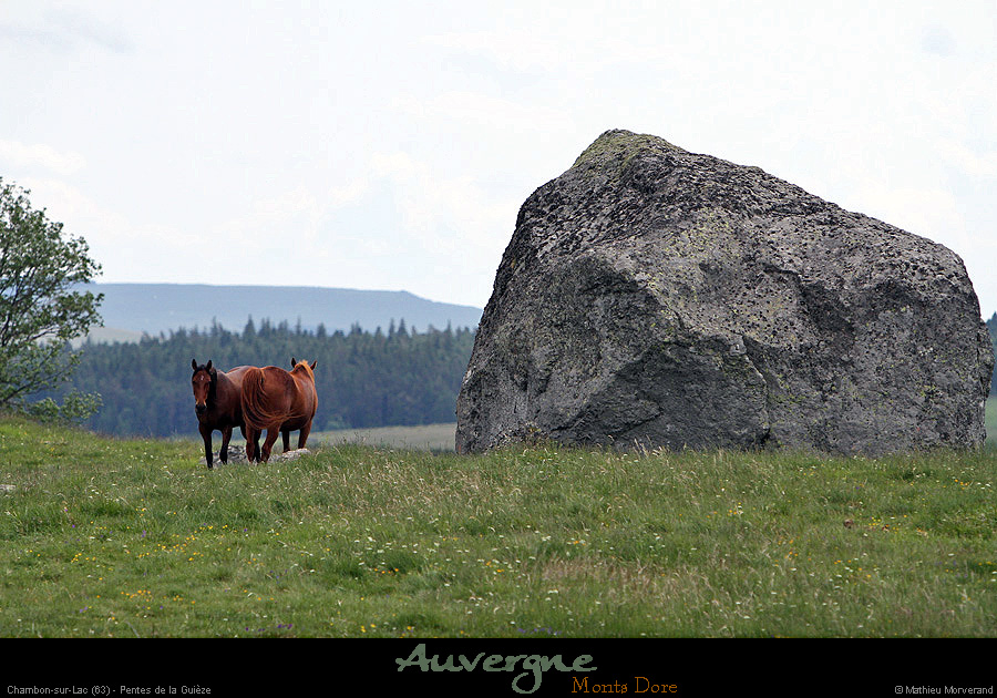 20150613_chambon_pentesdelaguieze