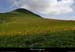 20150613_reco182