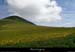 20150613_reco185