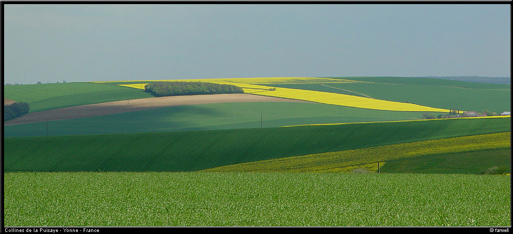 20040502_yonne_collinesdelapuisaye_1