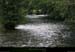 20050807_rigoleyonne_42