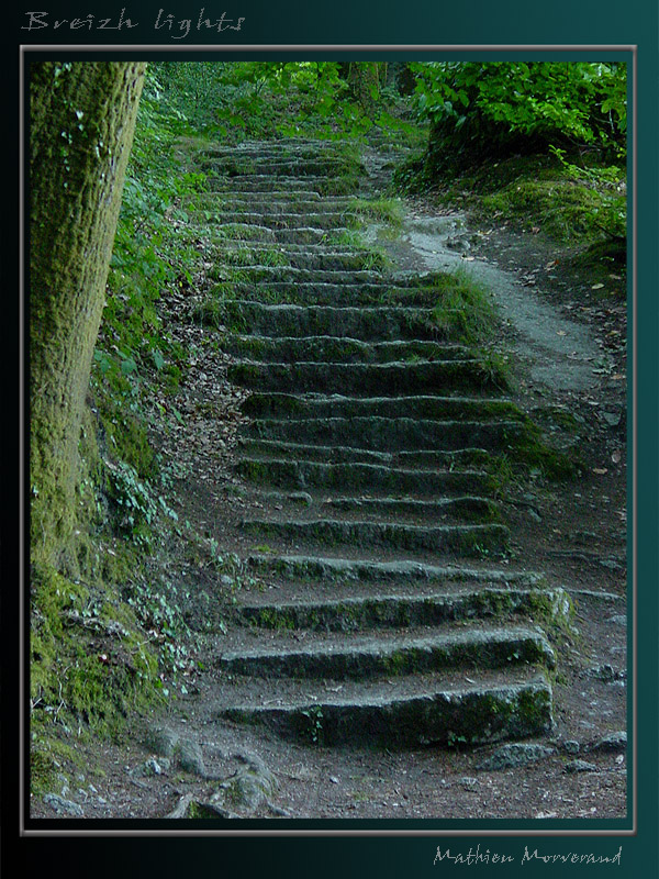 breizhlights_0029