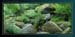 breizhlights_0027