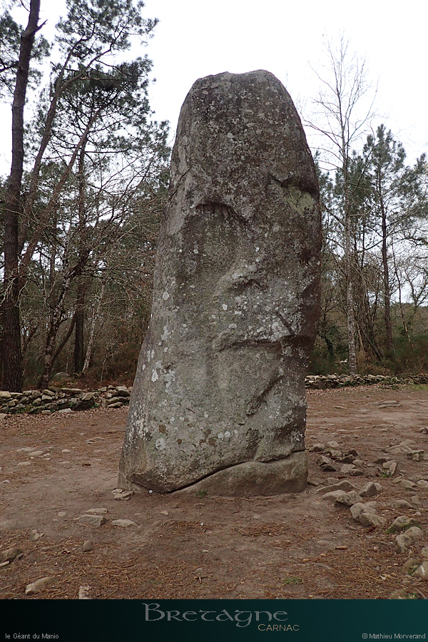 20190316_carnac_geantmanio3