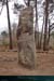 20190316_carnac_geantmanio2