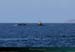 20190820hb_077