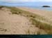 20150715_houat_plagetreachergourhed02