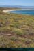 20150715_houat_plagetreachergourhed10