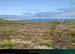 20150715_houat_plagetreachergourhed11