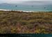 20150715_houat_plagetreachsalus5