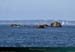 20190820hb_045