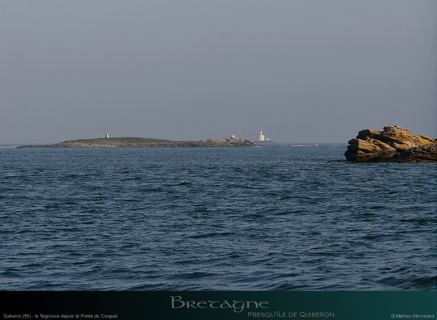 20110308d_039
