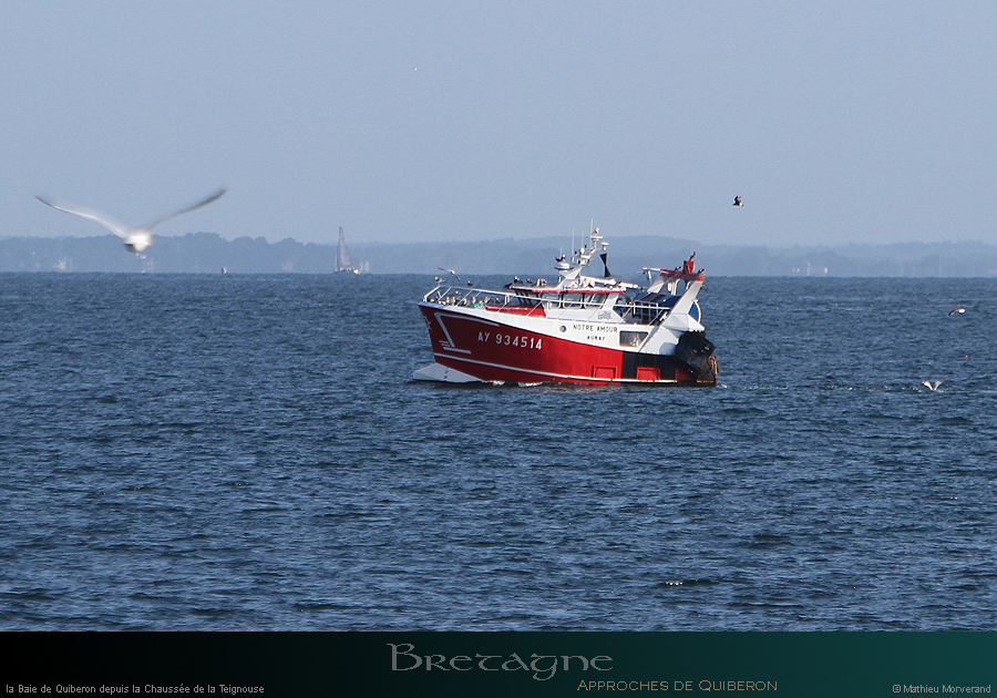 20190820hb_042