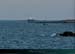 20100311_teignousedepuisconguel2