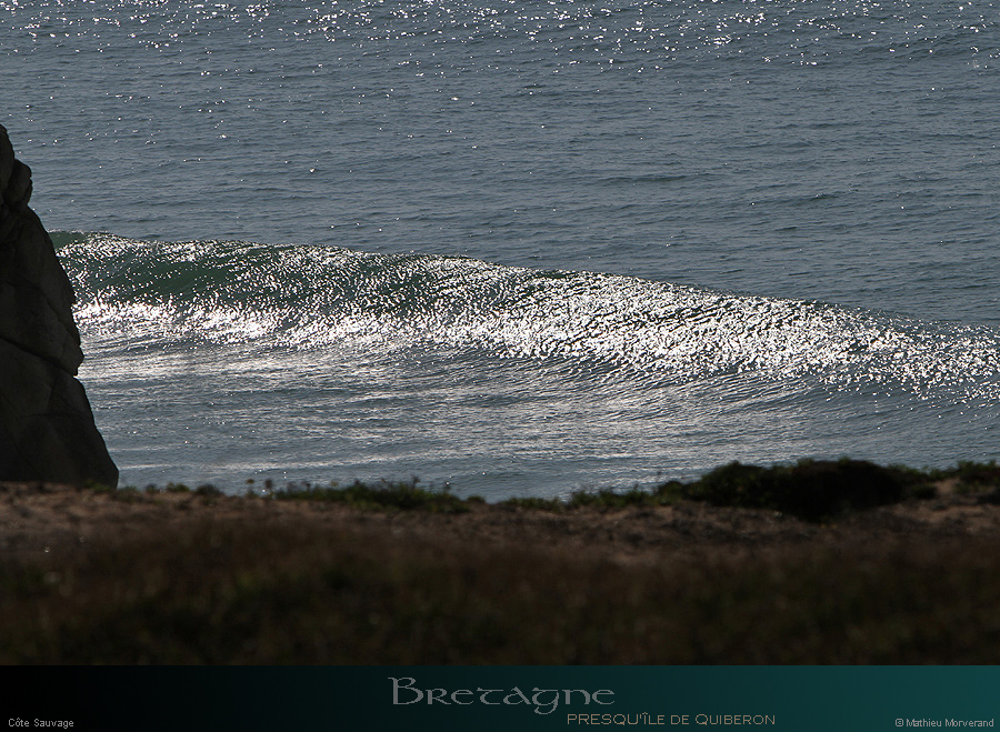 20110923cs_009