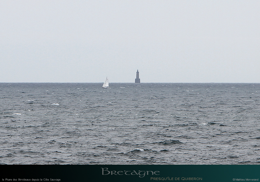 20190816_084