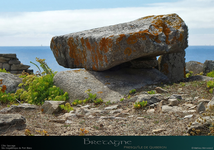 20220823_077