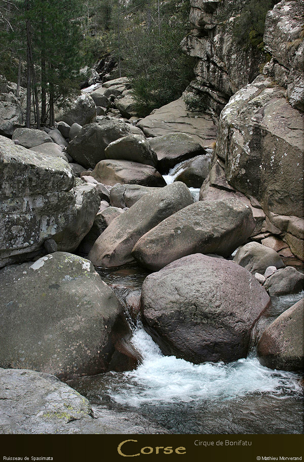 20080406_img_1759