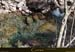 20080406_img_1526